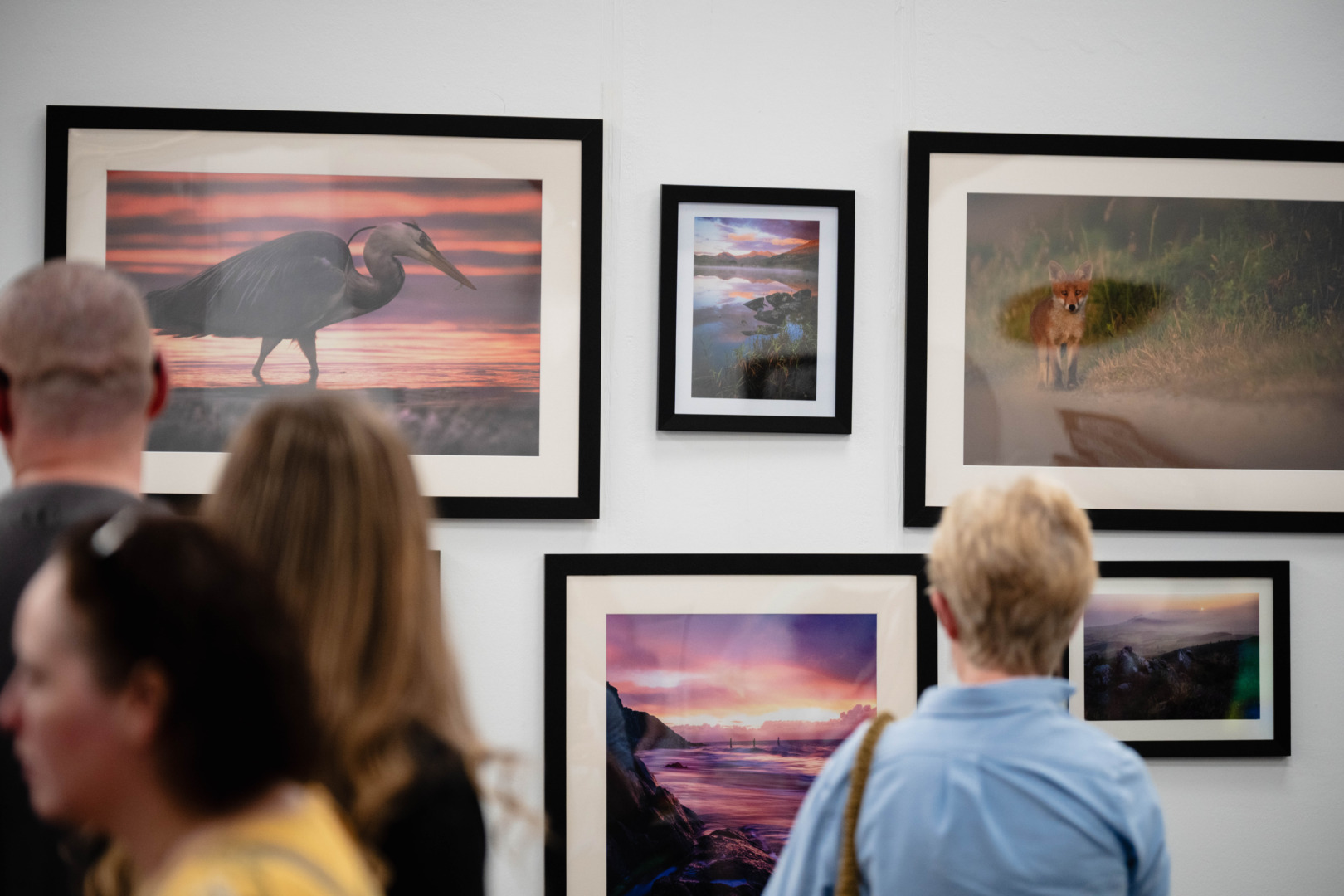 Photography at Eisteddfod yr Urdd