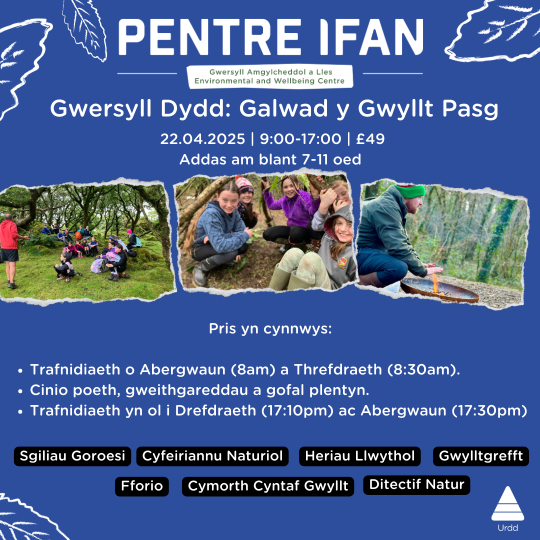 Gwersyll gwyllt pasg 25 1.png